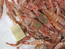 珍味な海老!! 「ガラ海老1kg」境港自慢の逸品（活または活冷凍）_画像10