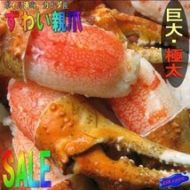 3個、美味「ずわい蟹親爪L-1kg」食べやすい、リングカット_画像1