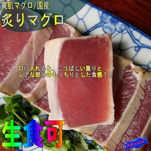 炭焼き「炙りまぐろ 480g」鮪のタタキ 脂の乗りは格別!!