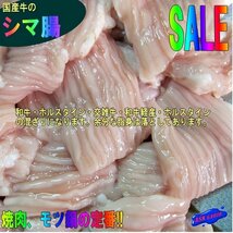 プロ用「国産牛シマ腸 1kg(脂少なめ)」焼肉・BBQに、もちろんモツ鍋最高！！_画像1