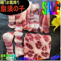 超珍味!! 霜降り「脂須の子100g前後」鯨超高級品、入手困難_画像2