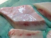 超美味「メカジキ腹身,柵500g」-大トロ -脂の乗りはマグロ以上_画像5