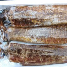 烏賊の王様!!特大「yアオリイカ 12尾で4kg」お刺身用 (活冷凍)　『魚王国』境港産_画像9