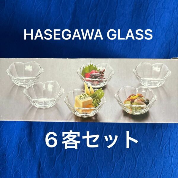 HASEGAWA GLASS 　日本製プチグラス小さなうつわ　６客セット