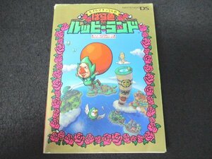 本 No2 01523 もぎたてチンクルのばら色ルッピーランド 2006年10月20日初版第1刷 毎日コミュニケーションズ NintendoDREAM編集部