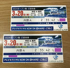 3月20日（祝日）ナゴヤドーム　中日対楽天　内野Ａ ペアチケット