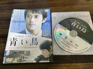 青い鳥　DVD　阿部寛　本郷奏多　即決　送料200円　208