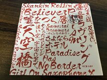 Paradise Has NO BORDER 東京スカパラダイスオーケストラ CD アルバム　即決　送料200円　214_画像2