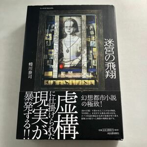 ◇送料無料◇ 迷宮の飛翔 蜷川泰司 河出書房新社 初版 帯付 ♪GM0218