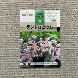 NHK 趣味の園芸 デンドロビウム 12ヶ月栽培ナビ