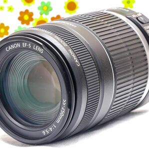 美品 キャノン Canon EF-S 55-250mm IS☆お手軽望遠レンズ♪