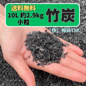 竹炭　10L 約2.9kg 小粒