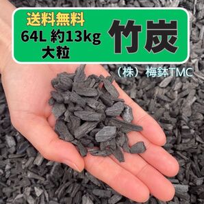 竹炭 64L 約13kg 大粒
