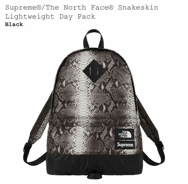 Supreme The North Face Snakeskin Lightweight Day Pack シュプリーム ノースフェイス backpack リュック