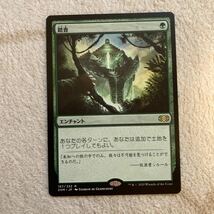 踏査　日本語版 MTG マジックザギャザリング 未使用_画像1