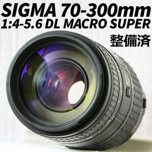 SIGMA AFズームレンズ 70-300mm 1:4-5.6 DL MACRO SUPER EOS用 整備済