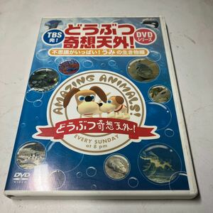 TBS発 どうぶつ奇想天外 DVDシリーズ 