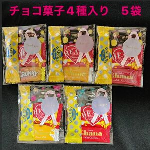 プチギフトチョコ菓子5袋
