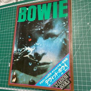 DAVID BOWIE 　デヴィッド・ボウイ　デカダンスの閃光・ボウイの千夜一夜物語