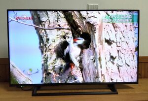 【ジャンク】 Hisense ハイセンス 43型テレビ 43E6800