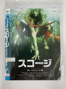 【送料無料】dw00212◆スコージ 災いをもたらす獣/レンタルUP中古品【DVD】