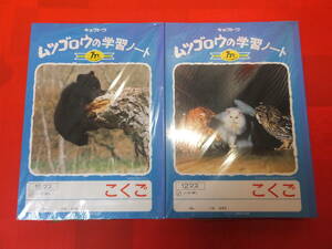 極東ノート　ムツゴロウの学習ノート　こくご 国語 12マス 10冊セット　&　こくご 国語 15マス 10冊セット　長期保管品