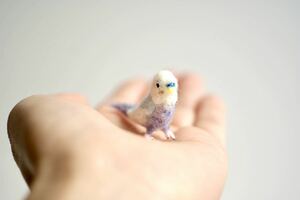 ＊maru＊羊毛フェルト　小さなセキセイインコ　ハンドメイド　ブライス　人形　ドールハウス