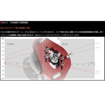 TANABE GTファントライド車高調 ZC13SスイフトRST 17/1～_画像4