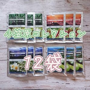 12袋　小笠原コレクション　4種類　オーガニックホホバオイル配合 匿名OK