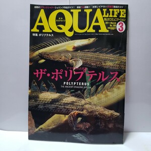 月間アクアライフ 2011年 3月号 特集 ポリプテルス 観賞魚 アクアリウム 淡水魚 古代魚