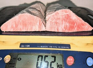 [Специальная цена] Коммерческая аквакультура тунец (Мальта) 520G ★ 2 блока