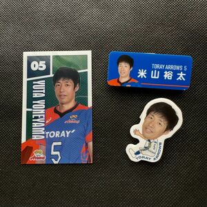 東レアローズ　米山裕太 選手　クリップセット