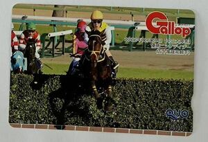 貴重　ニシノデイジー　中山大障害　クオカード　週刊 Gallop 抽プレ 10人　当選品 ギャロップ　gallop　新品