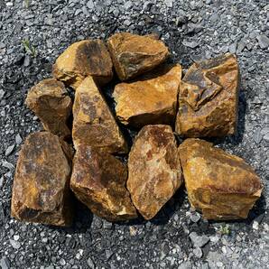 みかも石 【小サイズ】 30kg 希少 ロックガーデン ドライガーデン ミカモ石 三毳石 ヤシ 多肉植物 の画像3