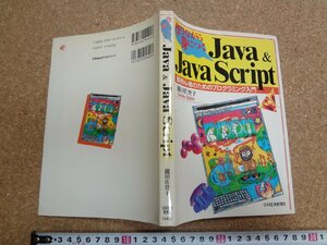 b* making while ....Java & Java Script super beginner therefore. programming introduction work :. rice field ...1996 year 1 version 1. Japan economics newspaper company /b15