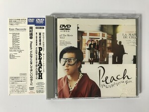 TF816 岡村靖幸 / Peach どんなことをしてほしいのぼくに 【DVD】 208