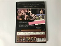 TG664 セメント・ガーデン ルナティック・ラブ禁断の姉弟 【DVD】 0206_画像2