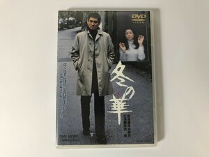 TG890 冬の華 高倉健/北大路欣也/池上季実子 他 【DVD】 0209