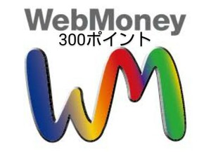 交換はお早めに●【WebMoney】300ポイント　【取引ナビにてコード番号をお伝え致します】 ギフトコード