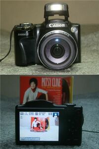 ◆ 作動品、付属品あり ◆ キヤノン Canon PowerShot SX500 IS