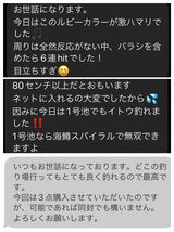 【BIGONEトーナメントTOP5入賞カラー】管釣り　エリアトラウト 【形状記憶】海鱒スパイラルHunter2本　黒星&紅星_画像7