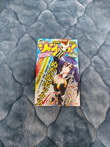 【新品】 【非売品】 JUMP PARADISE ジャンパラ vol 106 少年ジャンプ 集英社 新品