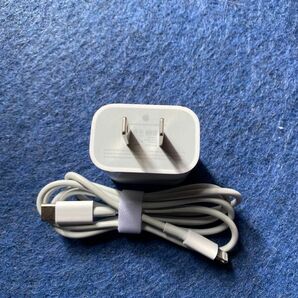 [純正品セット] Apple USB-C電源アダプタ 18W Lightning充電ケーブル C 