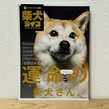 ▼柴犬ライフ 2020 WINTER ISSUE vol.2 冬号 運命の柴犬さん。/保護柴のこと/柴犬の認知症/柴犬フード術/20歳まで生きる！/皮膚病を治す_画像1