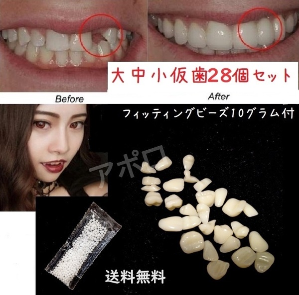 送料無料 仮歯28個セット & 10グラム フィッテングビーズ コスプレ ドラキュラ 義歯 No.871 E