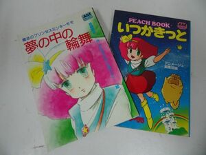 ★魔法プリンセスミンキー・モモ【夢の中の輪舞/いつかきっとPEACHBOOK】2冊セット/アニメージュ編集部