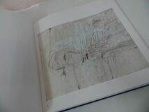 ★洋書・画集【Cy Twombly 】サイ・トゥオンブリー_画像5