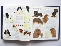 洋書◆犬の写真集 百科事典 本_画像7