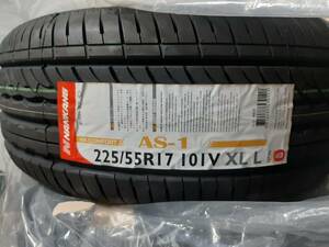 NANKANG ナンカン AS-1 225/55R17 101V 新品2本 17インチ