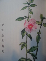 童話・物語「文研科学の読み物　ドロバチのアオムシがり」 岩田久二雄（著）岩本唯宏（絵）　絵本童話・物語文研出版_画像10